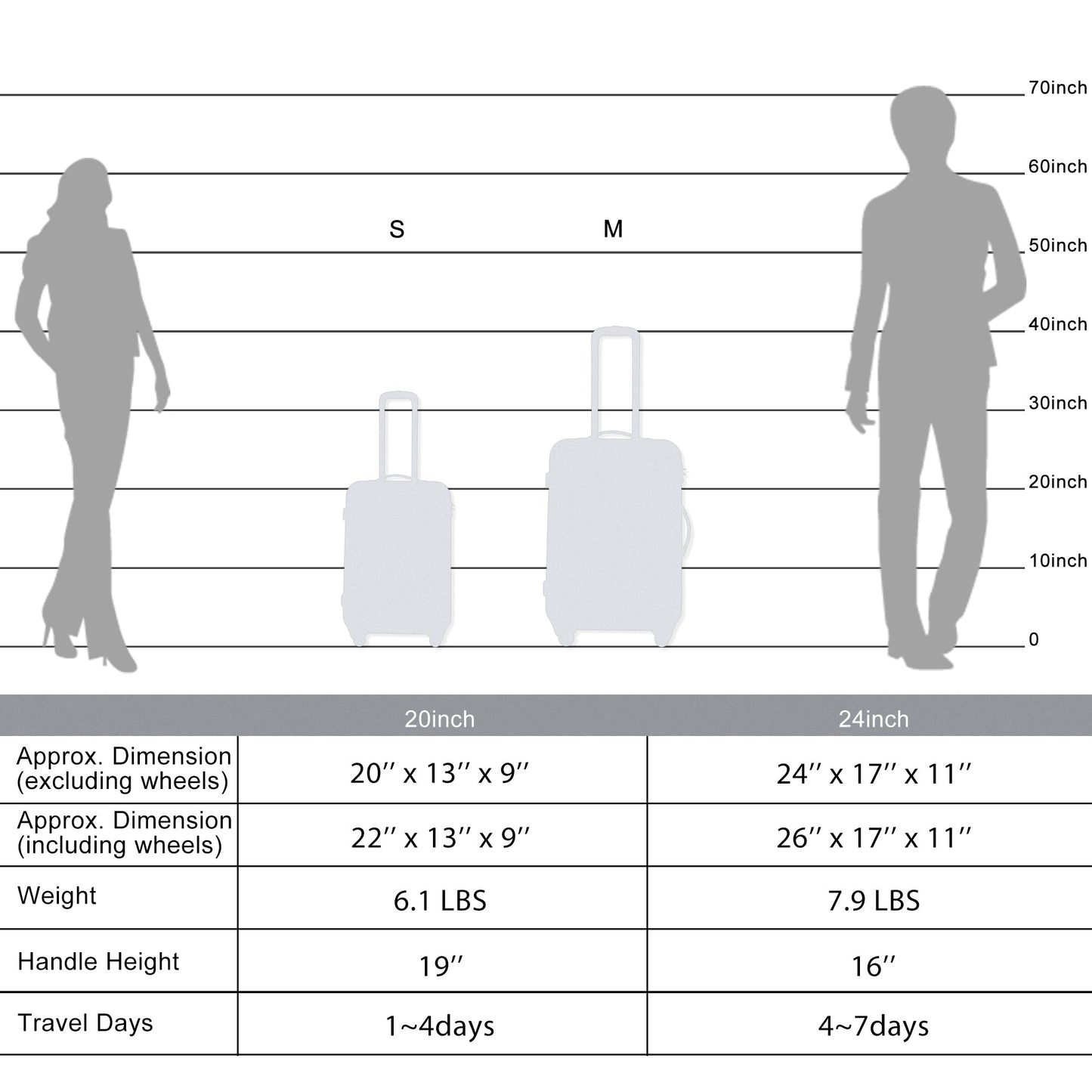 Expandable 2 Piece Spinner Luggage Set TSA Lock